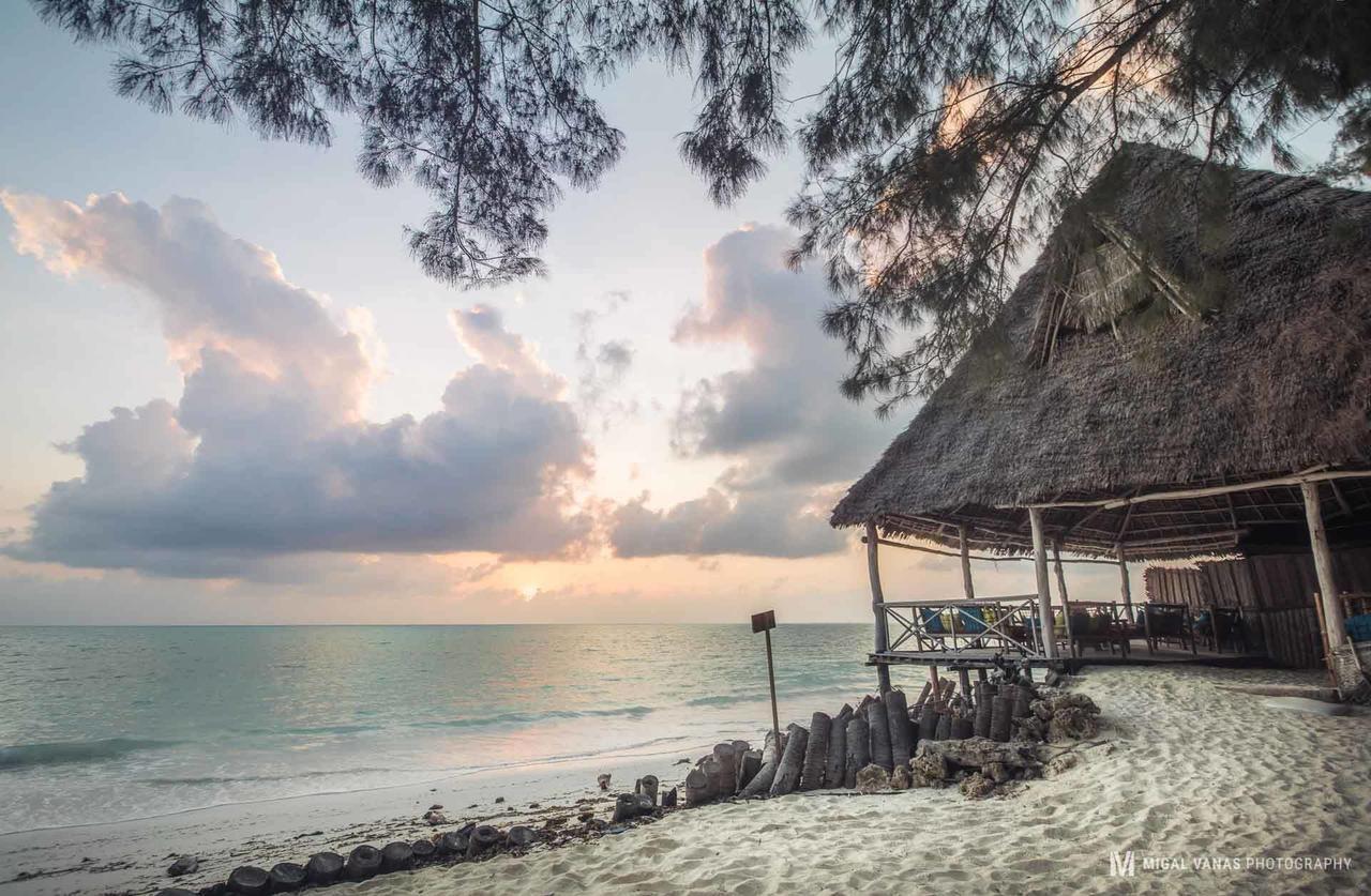 Ndame Beach Lodge Paje Exterior photo